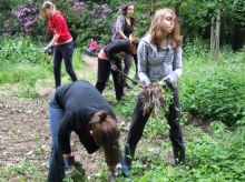 ZNA Middelheim is actief in het park